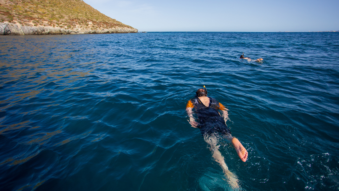Excursión de snorkel en la Reserva de Isla Grosa